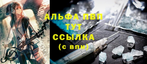 спиды Магас
