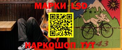 a pvp Гатчина