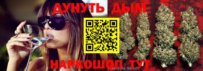 a pvp Гатчина