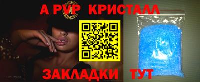 a pvp Гатчина