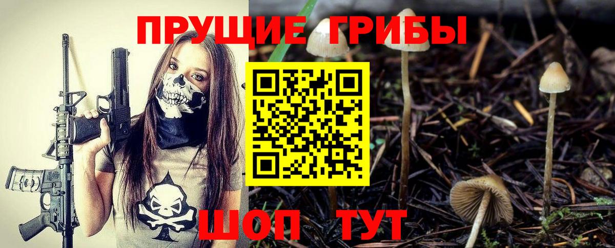 Псилоцибиновые грибы Psilocybine cubensis  Вход с VPN  Егорьевск 